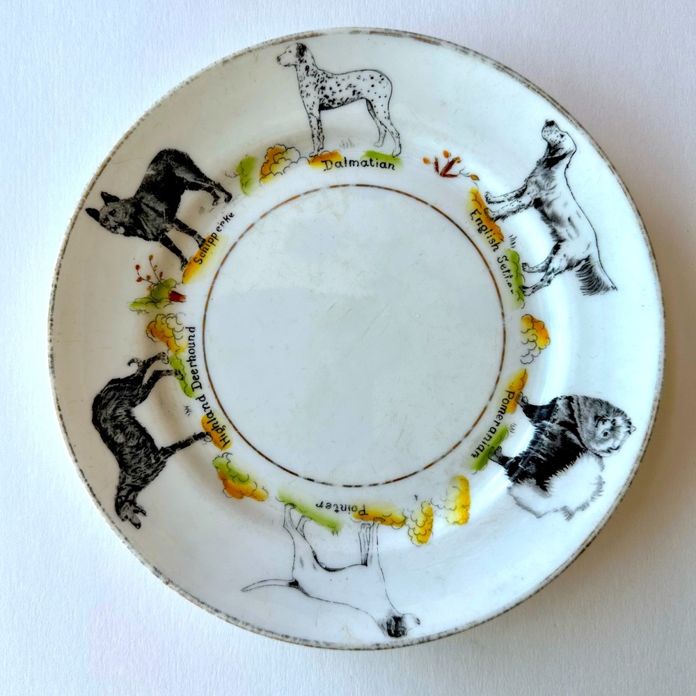 Paragon British Dog Series 7” Plate